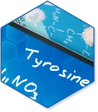 Acetyl L-Tyrosine