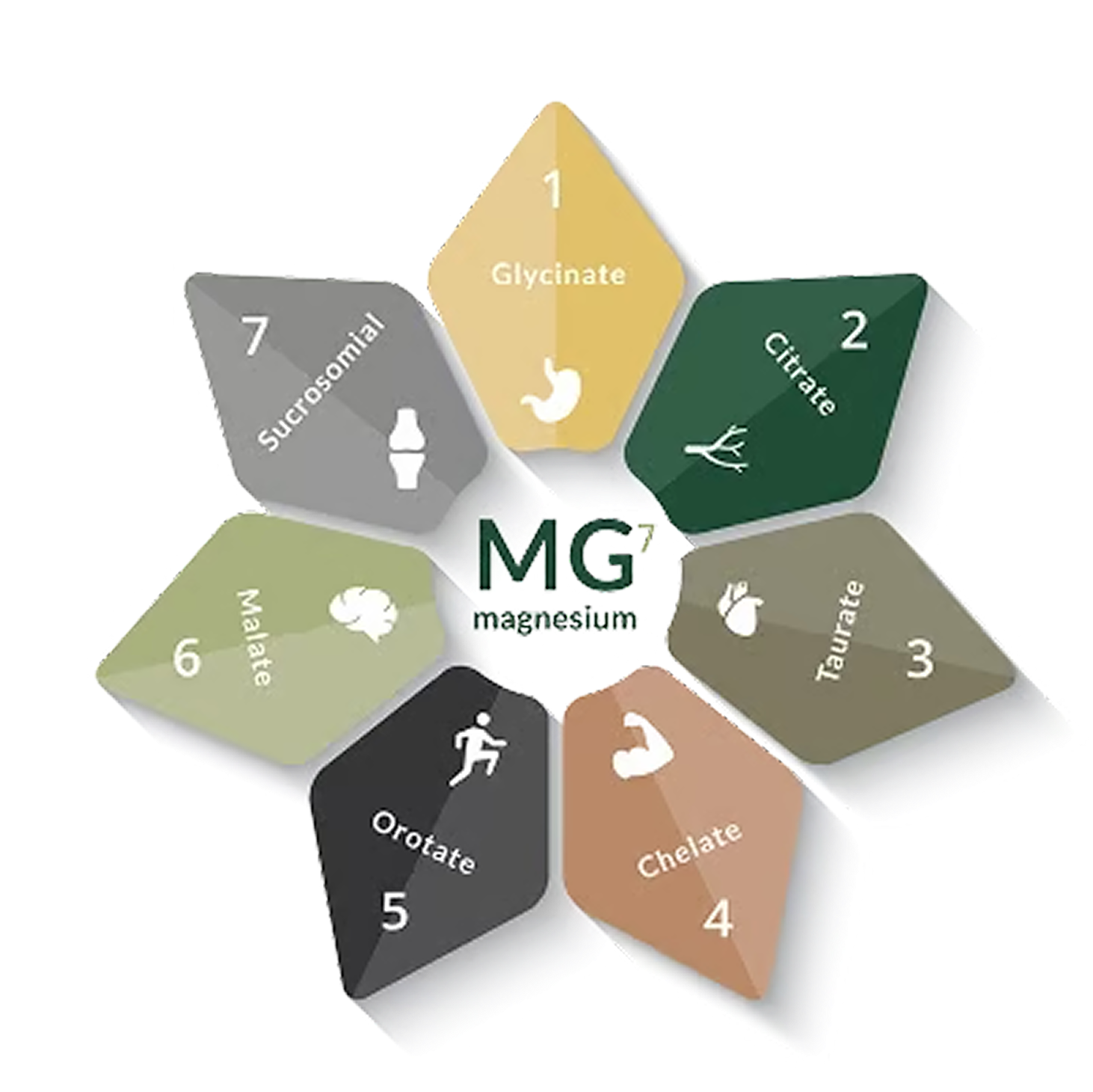 The 7 Forms of Magnesium