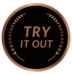 medal-try-it-out