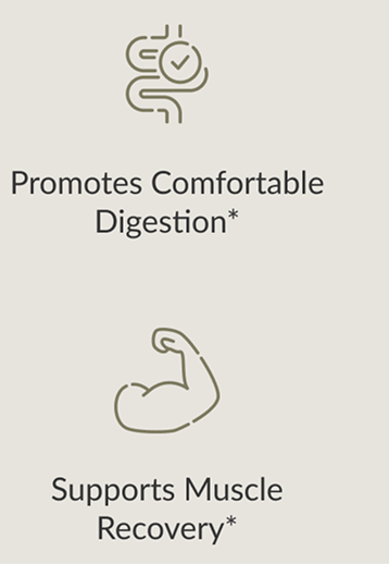 supports faster digestion eliminates bloating