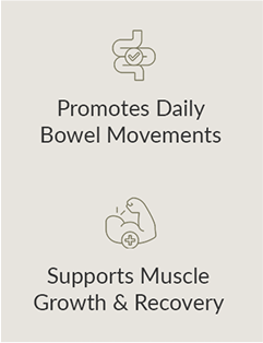 supports faster digestion eliminates bloating