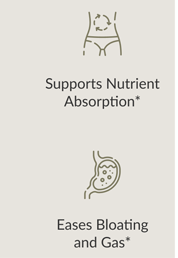 Daily bowel movements and muscle growth