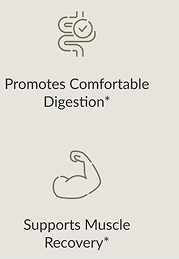 supports faster digestion eliminates bloating