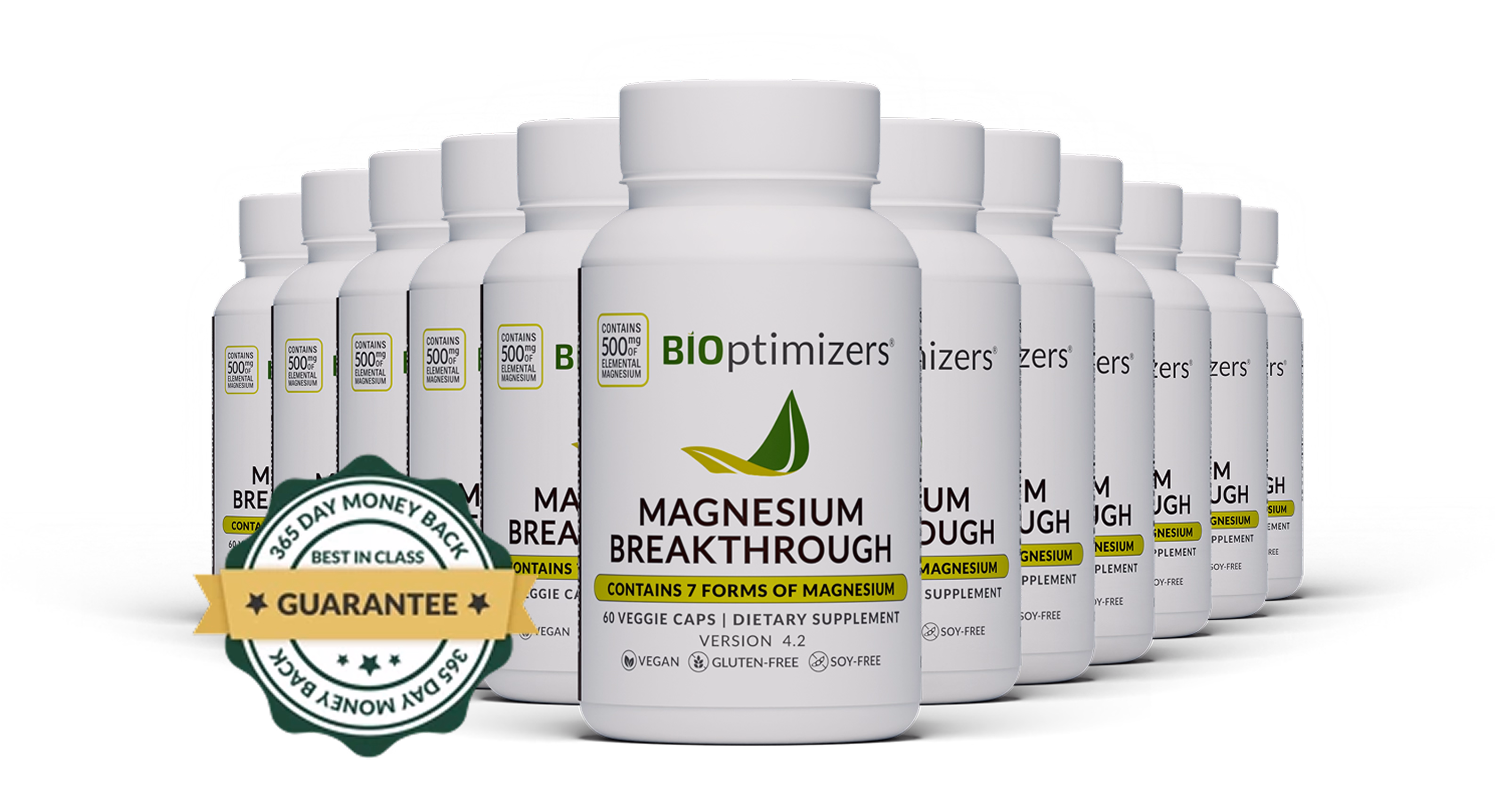 12 Bottles with Money Back Guarantee