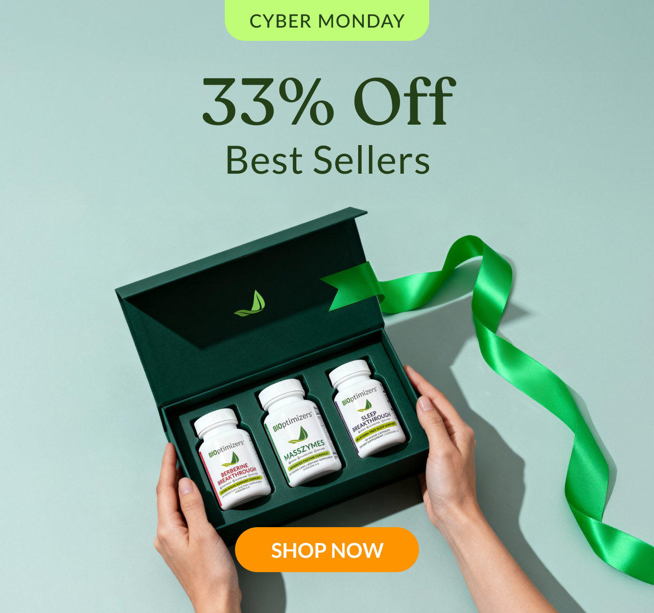 Cyber Monday Promo 2