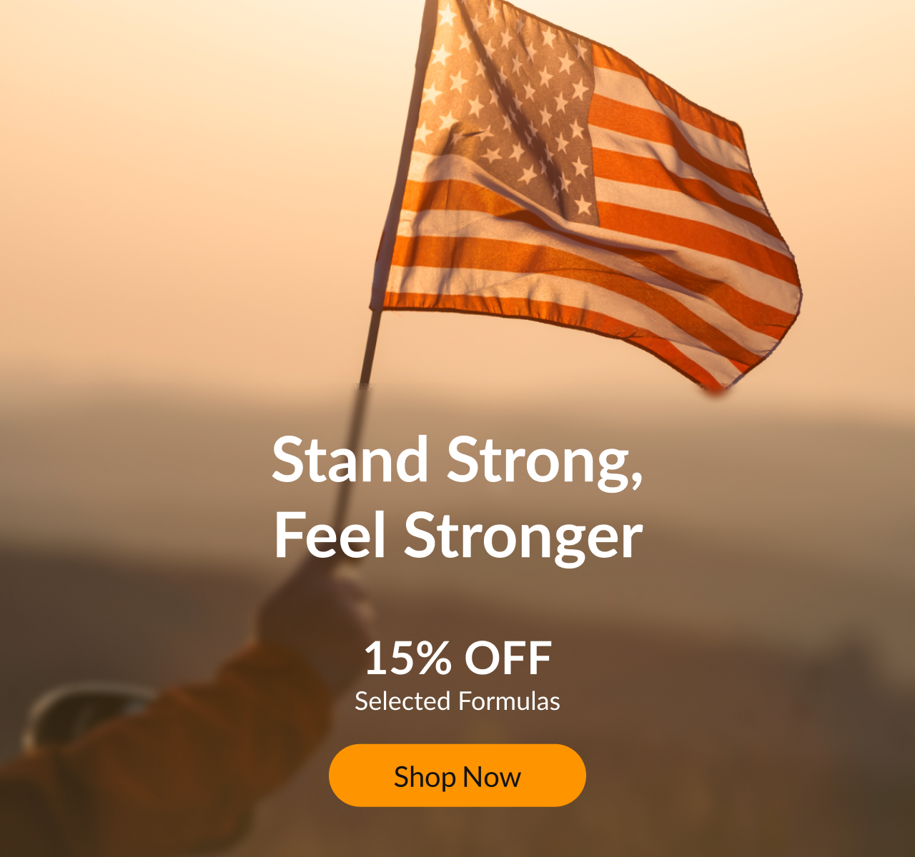 Veterans Day Promo